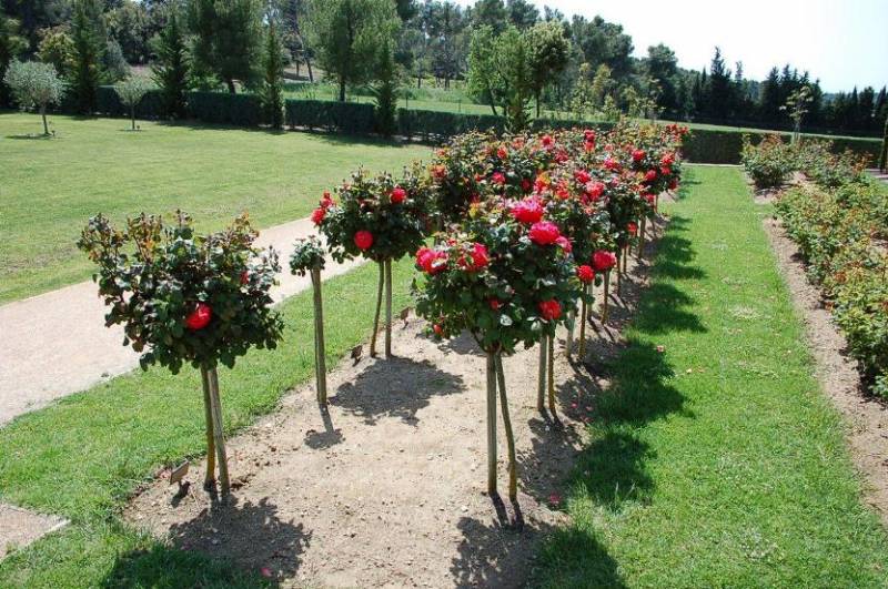 Pompes Funèbres du Plus Aixois, pompes funèbres et destination des cendres au Parc Mémorial de Provence